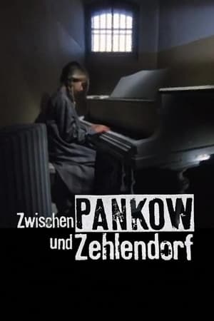 Image Zwischen Pankow und Zehlendorf
