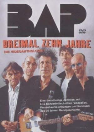 Télécharger BAP - Dreimal zehn Jahre ou regarder en streaming Torrent magnet 