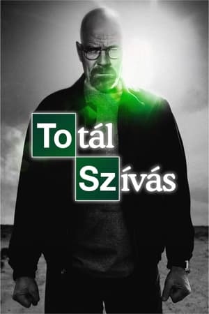 Poster Totál szívás 2008