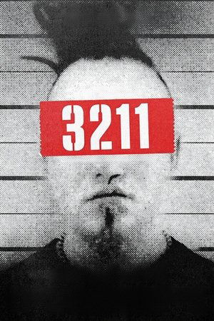 3211 (2023)