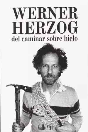 Image Werner Herzog cineasta