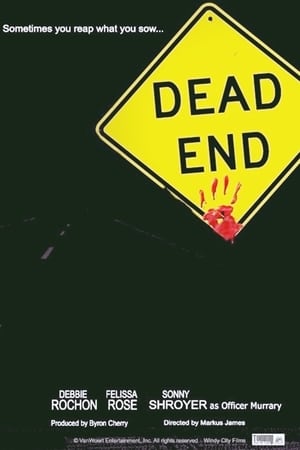 Image Dead End