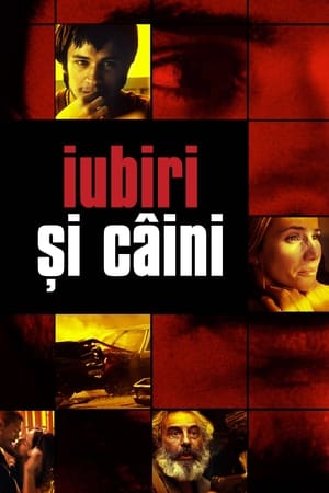 Poster Iubiri și câini 2000