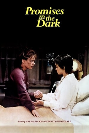 Poster Promises in the Dark 1979