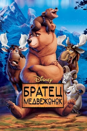 Poster Братец медвежонок 2003