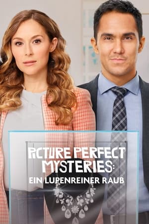 Image Picture Perfect Mysteries: Ein lupenreiner Raub