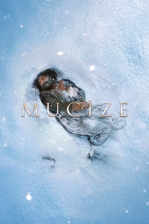 Mucize 2015