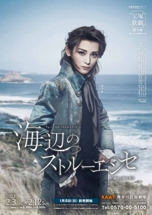 Télécharger 海辺のストルーエンセ ou regarder en streaming Torrent magnet 