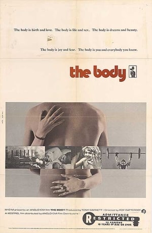 Image The Body