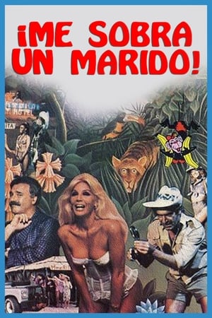 Poster Me sobra un marido 1987