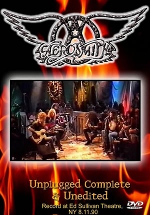 Télécharger Aerosmith: MTV Unplugged ou regarder en streaming Torrent magnet 