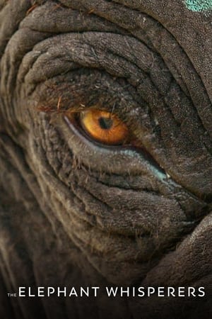 Image Zaříkávači slonů