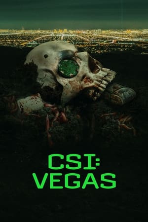 Image CSI: Las Vegas-i helyszínelők