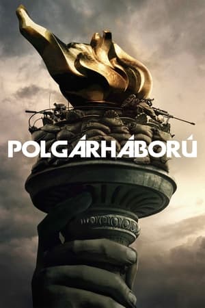 Polgárháború 2024