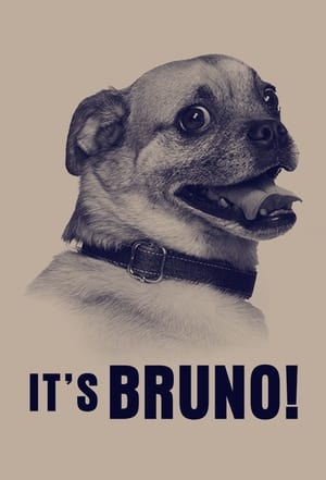 Poster It's Bruno! 2019