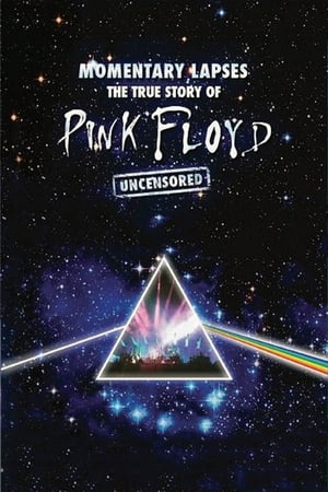 Télécharger Pink Floyd: Momentary Lapses - The True Story of Pink Floyd ou regarder en streaming Torrent magnet 