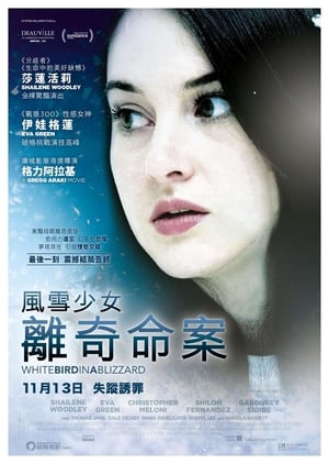 Poster 暴风雪中的白鸟 2014