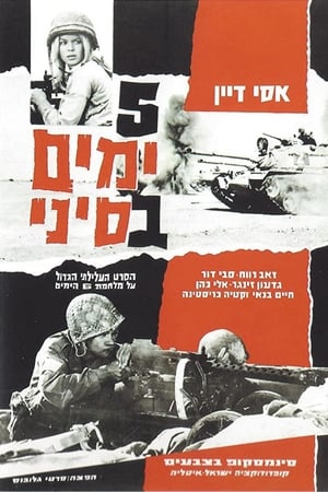 Poster Five Days in Sinai 1968