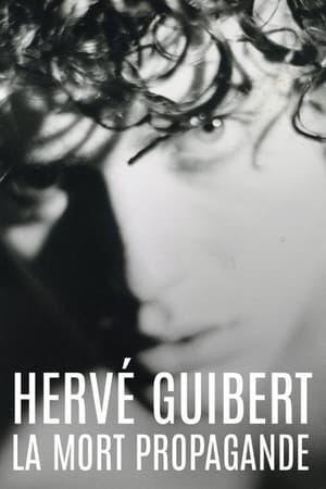 Image Hervé Guibert, la mort propagande