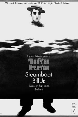 Image Buster Keaton - Steamboat Bill jr.