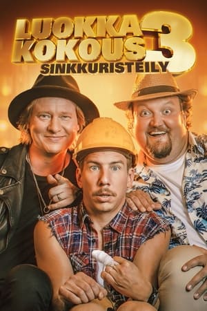 Image Luokkakokous 3 – Sinkkuristeily