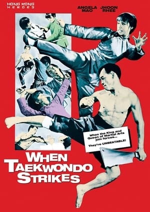 Image When Taekwondo Strikes