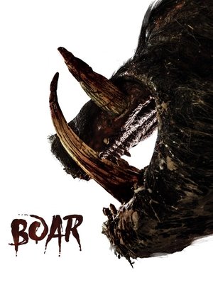 Boar Boar