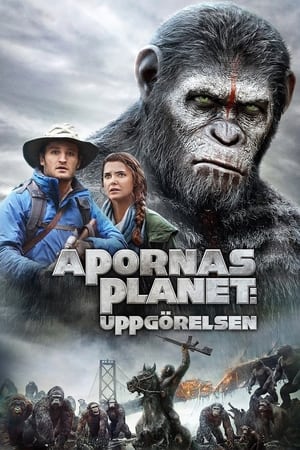 Poster Apornas planet: Uppgörelsen 2014