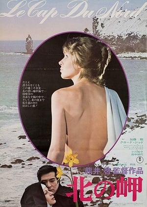 Poster 北の岬 1976