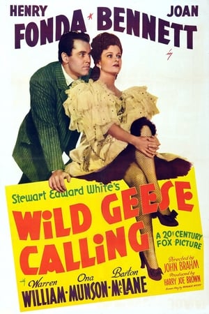 Wild Geese Calling 1941