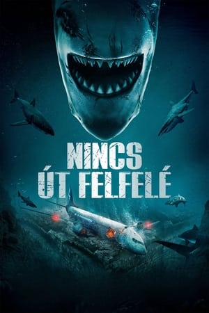 Poster Nincs út felfelé 2024