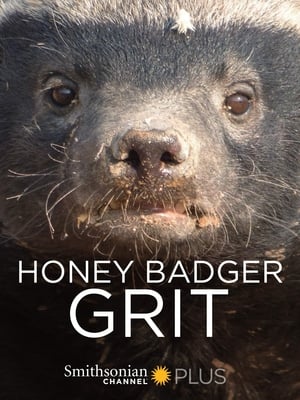 Télécharger Honey Badger: Grit ou regarder en streaming Torrent magnet 