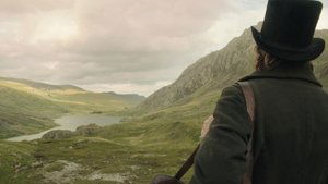 Mr. Turner (2014)
