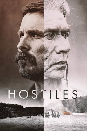 Poster Hostiles 2017