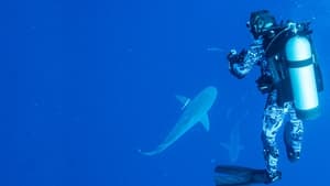 مشاهدة الوثائقي World’s Biggest Bull Shark? 2021 مترجم