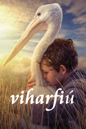 Image Viharfiú