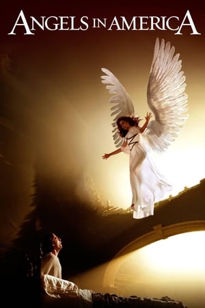 Image Îngeri în America