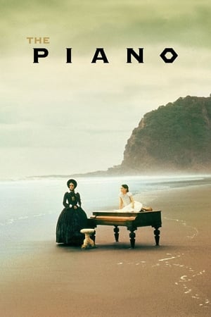 Poster 钢琴课 1993
