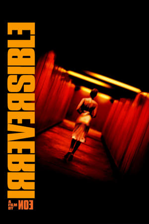 Poster Irreversible 2002