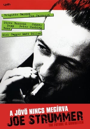 Image Joe Strummer - A jövő nincs megírva