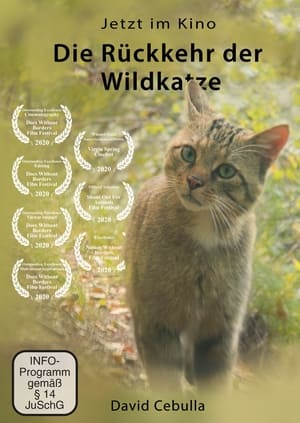 Poster Die Rückkehr der Wildkatze 2020