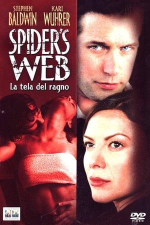 Image Spider's web - La tela del ragno