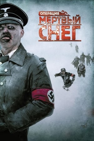 Poster Операция «Мёртвый снег» 2009