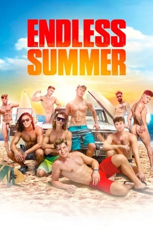 Télécharger Endless Summer ou regarder en streaming Torrent magnet 