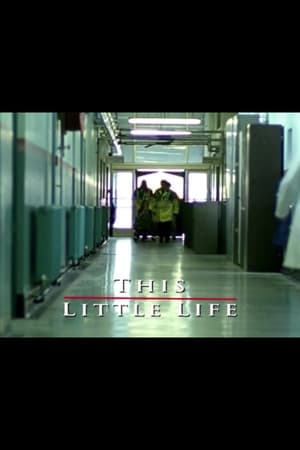 Poster This Little Life 2003