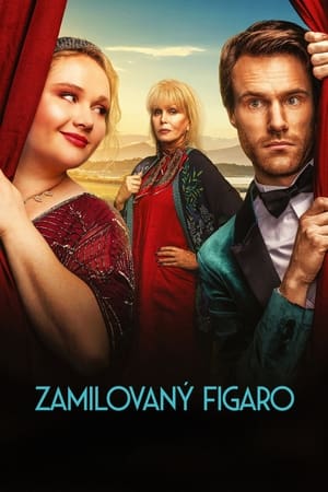 Image Zamilovaný Figaro