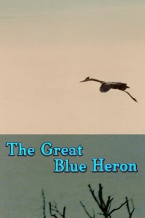 Télécharger The Great Blue Heron ou regarder en streaming Torrent magnet 