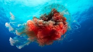 Blue Planet II Season 1 Episode 4 مترجمة