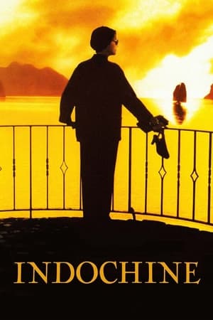 Poster Indochine 1992