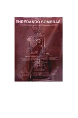 Image Enredando sombras